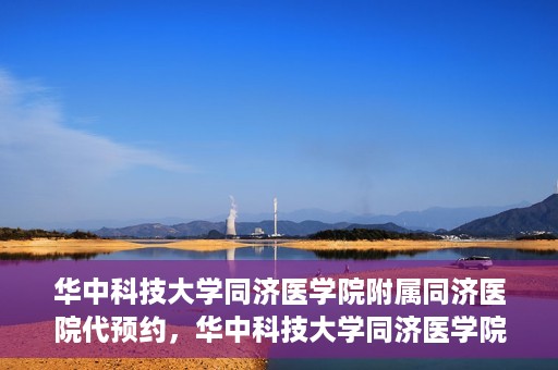 华中科技大学同济医学院附属同济医院代预约，华中科技大学同济医学院附属同济医院便捷预约服务解析