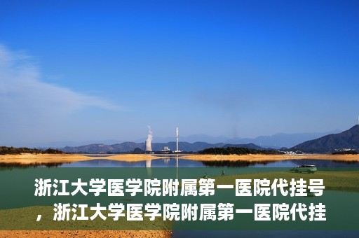 浙江大学医学院附属第一医院代挂号，浙江大学医学院附属第一医院代挂号服务详解