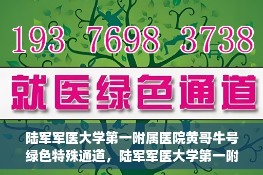 陆军军医大学第一附属医院黄哥牛号绿色特殊通道，陆军军医大学第一附属医院黄哥牛号，绿色特殊通道开启健康之门