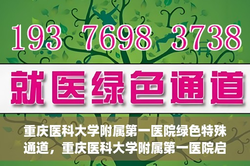 重庆医科大学附属第一医院绿色特殊通道，重庆医科大学附属第一医院启动绿色特殊通道，高效医疗服务的探索与实践