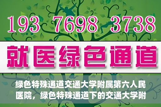 绿色特殊通道交通大学附属第六人民医院，绿色特殊通道下的交通大学附属第六人民医院探索