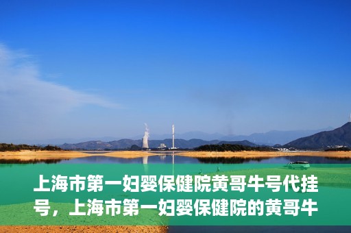 上海市第一妇婴保健院黄哥牛号代挂号，上海市第一妇婴保健院的黄哥牛号代挂号服务解析