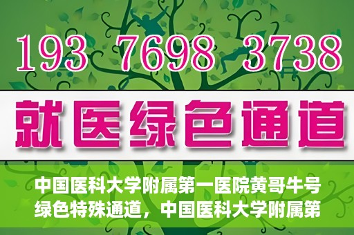 中国医科大学附属第一医院黄哥牛号绿色特殊通道，中国医科大学附属第一医院黄哥牛号，绿色特殊通道的开启与探索
