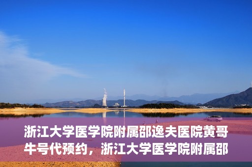 浙江大学医学院附属邵逸夫医院黄哥牛号代预约，浙江大学医学院附属邵逸夫医院黄哥牛号预约服务解析