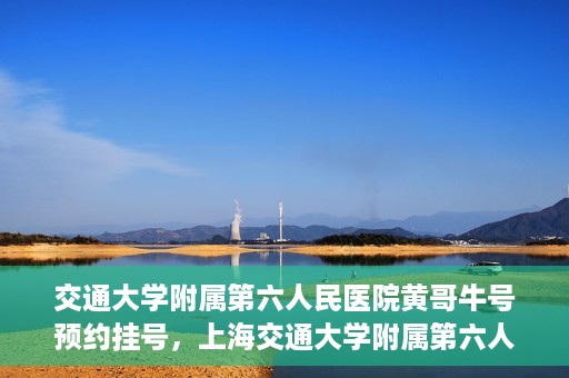 交通大学附属第六人民医院黄哥牛号预约挂号，上海交通大学附属第六人民医院黄哥牛号预约挂号攻略