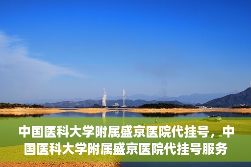 中国医科大学附属盛京医院代挂号，中国医科大学附属盛京医院代挂号服务详解