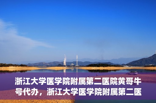 浙江大学医学院附属第二医院黄哥牛号代办，浙江大学医学院附属第二医院热门专家黄哥牛号预约代办攻略