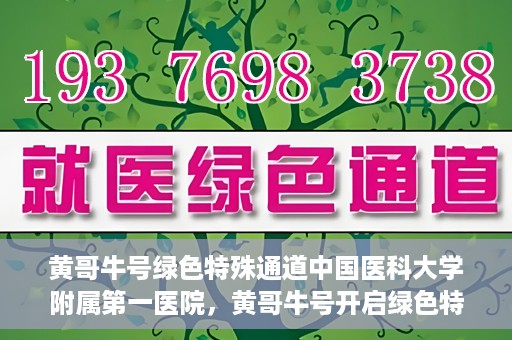 黄哥牛号绿色特殊通道中国医科大学附属第一医院，黄哥牛号开启绿色特殊通道，中国医科大学附属第一医院助力健康中国行动