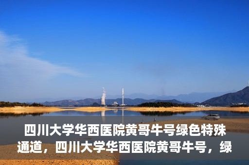 四川大学华西医院黄哥牛号绿色特殊通道，四川大学华西医院黄哥牛号，绿色特殊通道开启生命之门