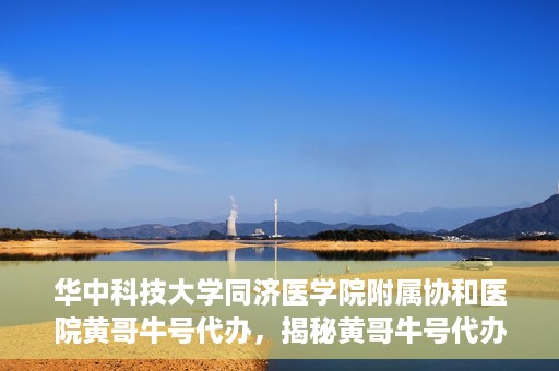 华中科技大学同济医学院附属协和医院黄哥牛号代办，揭秘黄哥牛号代办背后的故事，华中科技大学同济医学院附属协和医院就医新途径探索