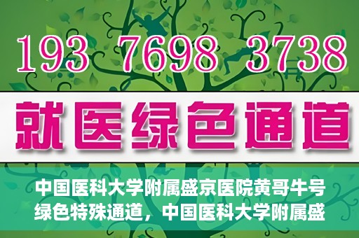 中国医科大学附属盛京医院黄哥牛号绿色特殊通道，中国医科大学附属盛京医院黄哥牛号，绿色特殊通道开启健康之门