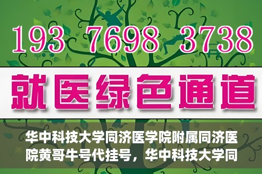 华中科技大学同济医学院附属同济医院黄哥牛号代挂号，华中科技大学同济医院黄哥牛号代挂号背后的故事