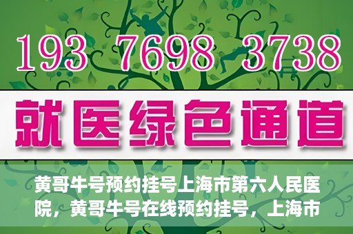 黄哥牛号预约挂号上海市第六人民医院，黄哥牛号在线预约挂号，上海市第六人民医院就医新选择