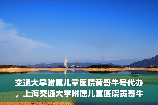 交通大学附属儿童医院黄哥牛号代办，上海交通大学附属儿童医院黄哥牛号代办揭秘，真相与警示