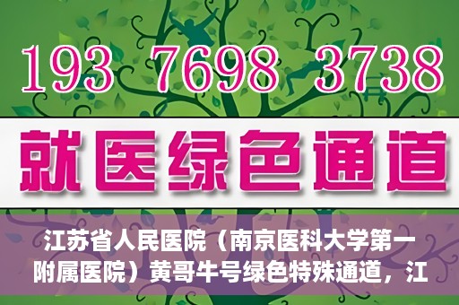 江苏省人民医院（南京医科大学第一附属医院）黄哥牛号绿色特殊通道，江苏省人民医院绿色特殊通道，黄哥牛号的医疗速度与温情服务