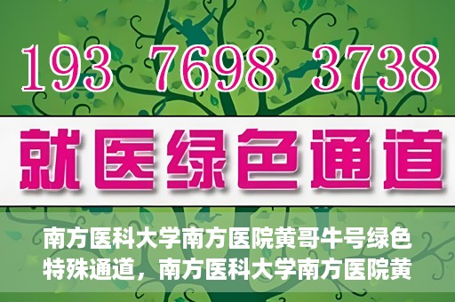 南方医科大学南方医院黄哥牛号绿色特殊通道，南方医科大学南方医院黄哥牛号，绿色特殊通道开启健康之门