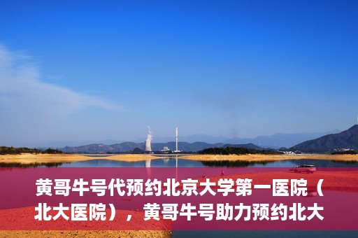 黄哥牛号代预约北京大学第一医院（北大医院），黄哥牛号助力预约北大医院——北京大学第一医院权威预约服务开启