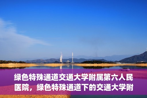绿色特殊通道交通大学附属第六人民医院，绿色特殊通道下的交通大学附属第六人民医院探索