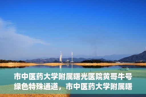 市中医药大学附属曙光医院黄哥牛号绿色特殊通道，市中医药大学附属曙光医院黄哥牛号，绿色特殊通道开启健康之门