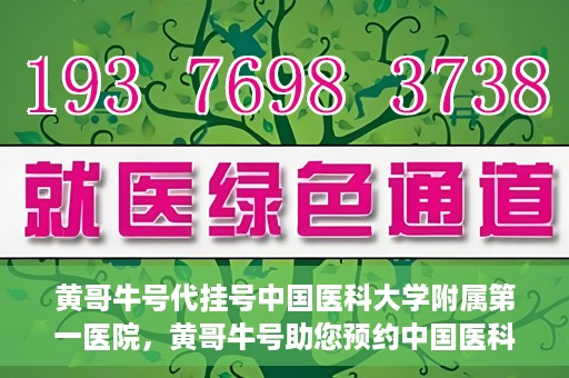 黄哥牛号代挂号中国医科大学附属第一医院，黄哥牛号助您预约中国医科大学附属第一医院专家号