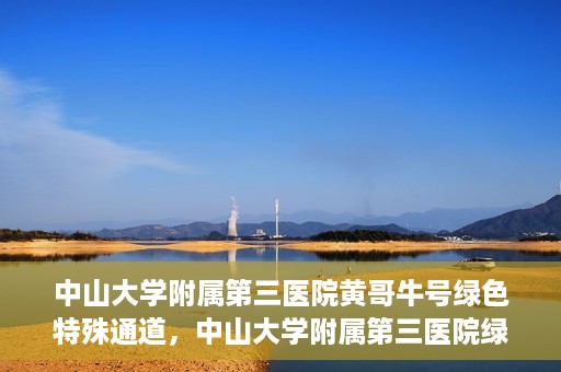中山大学附属第三医院黄哥牛号绿色特殊通道，中山大学附属第三医院绿色特殊通道，黄哥牛号引领医疗创新之路