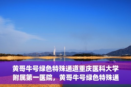 黄哥牛号绿色特殊通道重庆医科大学附属第一医院，黄哥牛号绿色特殊通道，重庆医科大学附属第一医院实践探索