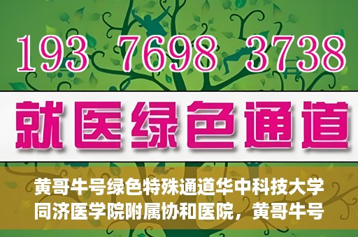 黄哥牛号绿色特殊通道华中科技大学同济医学院附属协和医院，黄哥牛号开启绿色特殊通道，华中科技大学同济医学院附属协和医院助力健康中国行动