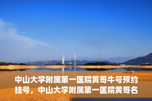 中山大学附属第一医院黄哥牛号预约挂号，中山大学附属第一医院黄哥名医牛号预约挂号攻略