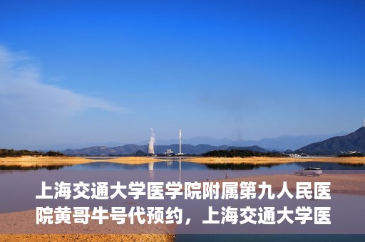 上海交通大学医学院附属第九人民医院黄哥牛号代预约，上海交通大学医学院附属第九人民医院黄哥牛号预约攻略，轻松预约挂号体验