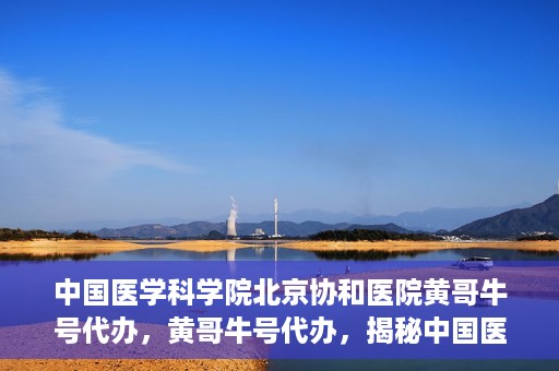中国医学科学院北京协和医院黄哥牛号代办，黄哥牛号代办，揭秘中国医学科学院北京协和医院背后的故事