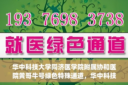 华中科技大学同济医学院附属协和医院黄哥牛号绿色特殊通道，华中科技大学同济医学院附属协和医院黄哥牛号绿色就医特殊通道揭秘