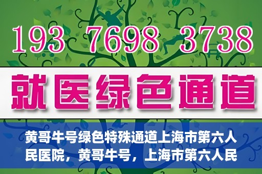 黄哥牛号绿色特殊通道上海市第六人民医院，黄哥牛号，上海市第六人民医院绿色特殊通道揭秘