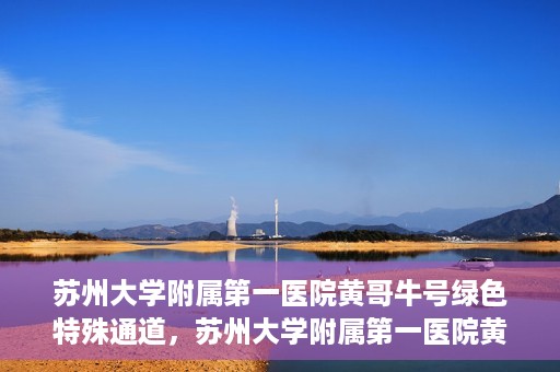 苏州大学附属第一医院黄哥牛号绿色特殊通道，苏州大学附属第一医院黄哥牛号，绿色特殊通道的守护力量