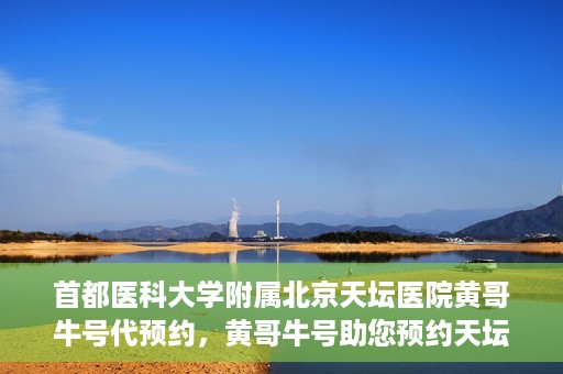 首都医科大学附属北京天坛医院黄哥牛号代预约，黄哥牛号助您预约天坛医院——权威医疗预约服务体验
