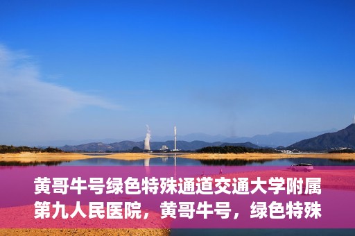黄哥牛号绿色特殊通道交通大学附属第九人民医院，黄哥牛号，绿色特殊通道下的交通大学附属第九人民医院新篇章
