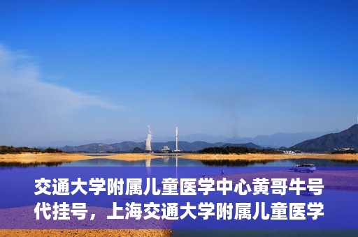 交通大学附属儿童医学中心黄哥牛号代挂号，上海交通大学附属儿童医学中心黄哥牛号代挂号解析与攻略