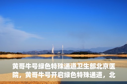 黄哥牛号绿色特殊通道卫生部北京医院，黄哥牛号开启绿色特殊通道，北京医院卫生部全力支持创新服务