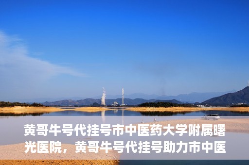 黄哥牛号代挂号市中医药大学附属曙光医院，黄哥牛号代挂号助力市中医药大学附属曙光医院就医无忧