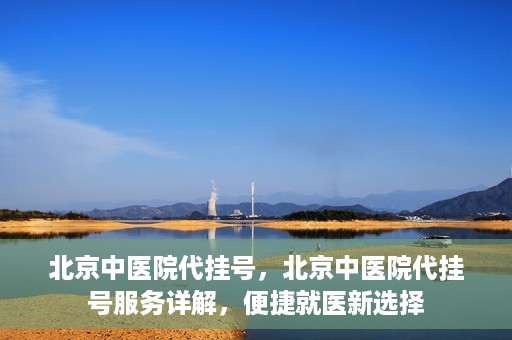 北京中医院代挂号，北京中医院代挂号服务详解，便捷就医新选择