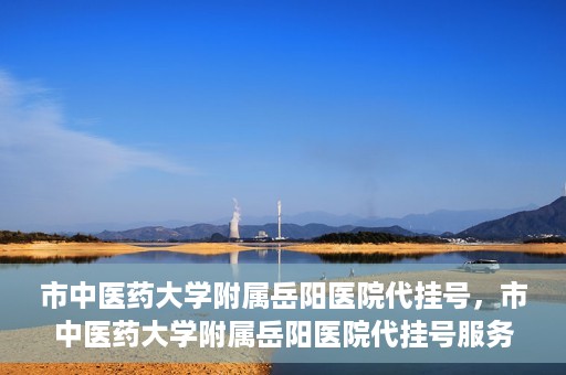 市中医药大学附属岳阳医院代挂号，市中医药大学附属岳阳医院代挂号服务解析