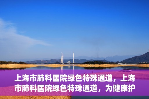 上海市肺科医院绿色特殊通道，上海市肺科医院绿色特殊通道，为健康护航的紧急通道