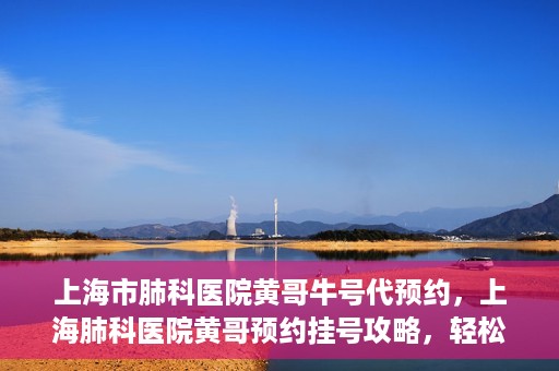 上海市肺科医院黄哥牛号代预约，上海肺科医院黄哥预约挂号攻略，轻松预约牛号