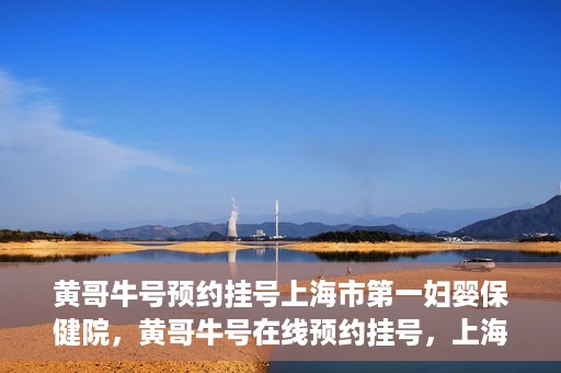 黄哥牛号预约挂号上海市第一妇婴保健院，黄哥牛号在线预约挂号，上海市第一妇婴保健院的便捷就医之旅