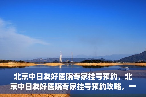 北京中日友好医院专家挂号预约，北京中日友好医院专家挂号预约攻略，一站式解决您的就医难题