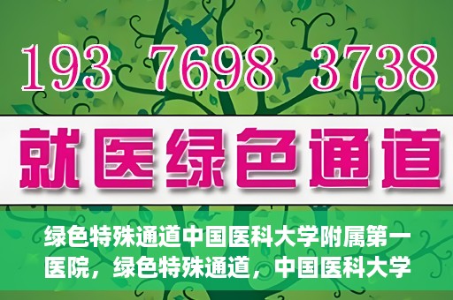 绿色特殊通道中国医科大学附属第一医院，绿色特殊通道，中国医科大学附属第一医院探索前行
