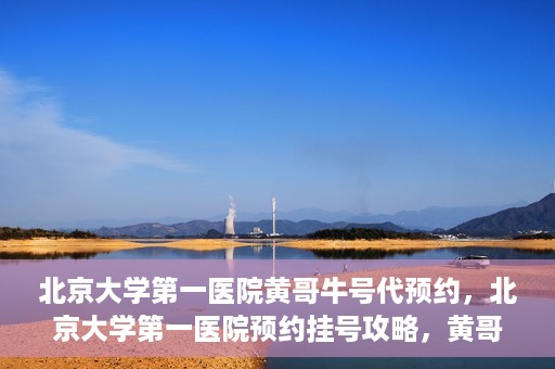 北京大学第一医院黄哥牛号代预约，北京大学第一医院预约挂号攻略，黄哥牛号预约详解