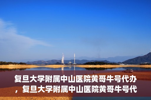 复旦大学附属中山医院黄哥牛号代办，复旦大学附属中山医院黄哥牛号代办，权威医疗资源的深度解读与便捷服务体验