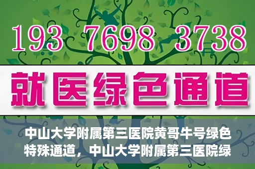 中山大学附属第三医院黄哥牛号绿色特殊通道，中山大学附属第三医院绿色特殊通道，黄哥牛号引领医疗创新之路
