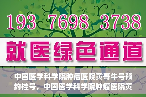 中国医学科学院肿瘤医院黄哥牛号预约挂号，中国医学科学院肿瘤医院黄哥牛号预约挂号攻略，一站式解决您的挂号难题