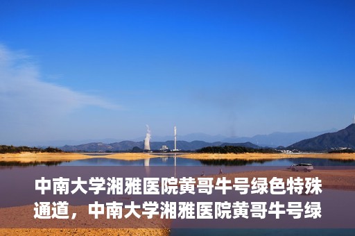 中南大学湘雅医院黄哥牛号绿色特殊通道，中南大学湘雅医院黄哥牛号绿色特殊通道，医疗服务的创新实践与人文关怀的体现